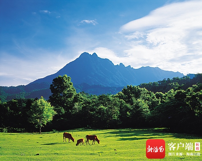 新海南·五指山融媒 | 央视《中国地名大会》推介五指