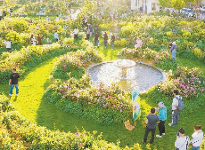 一路繁花开启“世界花园”之旅