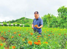 全国“三下乡”活动服务标兵张友生：提产增收找老张