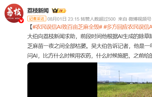 AI下乡，不能只带算法不带刹车