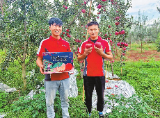 云南各地邮政快递企业把收寄服务送到生产一线——丰收时节　云品出滇