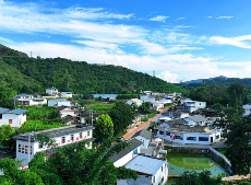 楚雄永仁：从