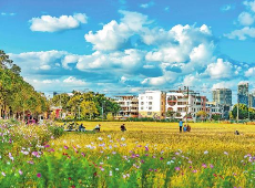 昆明福保半岛：湖畔田野里的城市新生活