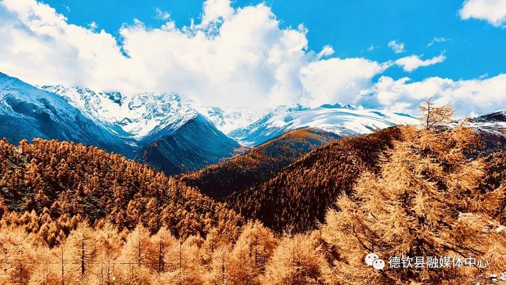 白马雪山的秋天，美成了壁纸